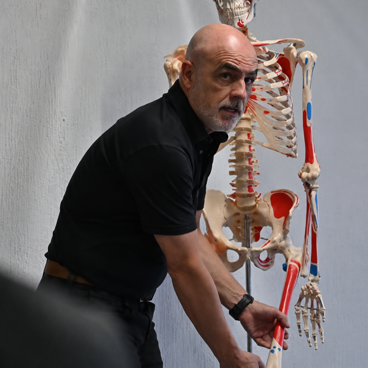 Formació Juanjo Brau